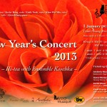 New Year’s Concert 2013