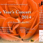 New Year’s Concert 2014